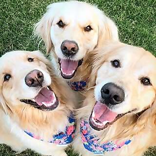 RowanOak Remi Idgie Ruth