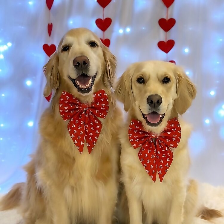 Marlee & Bella