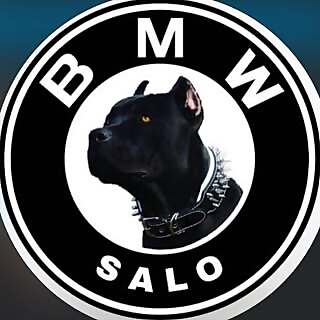 BMW Salo