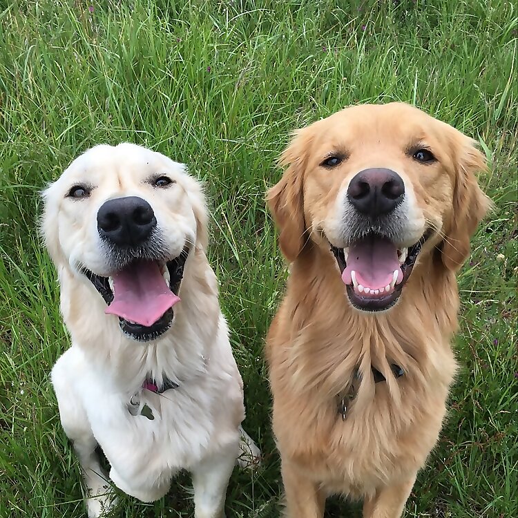 Reida & Rosa
