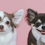 Palpy & Tira