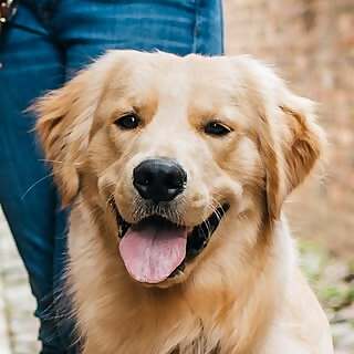 Baxter 