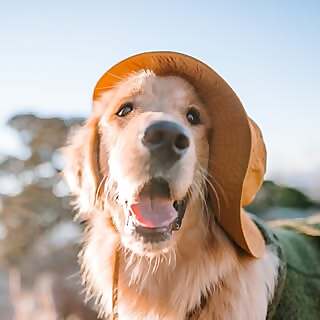 Jen Ranger Huxley Newton