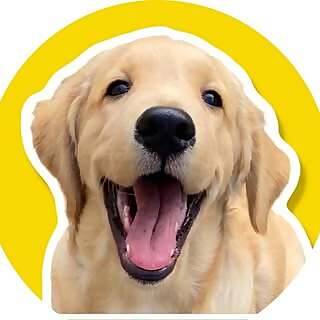 Rio Nimesh