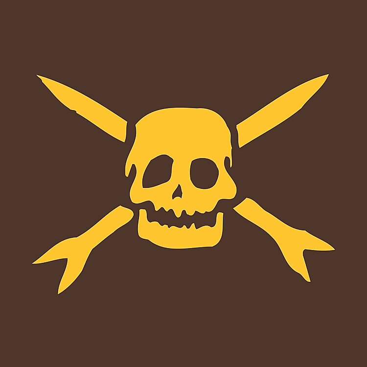 Teenage Bottlerocket