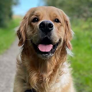Rory