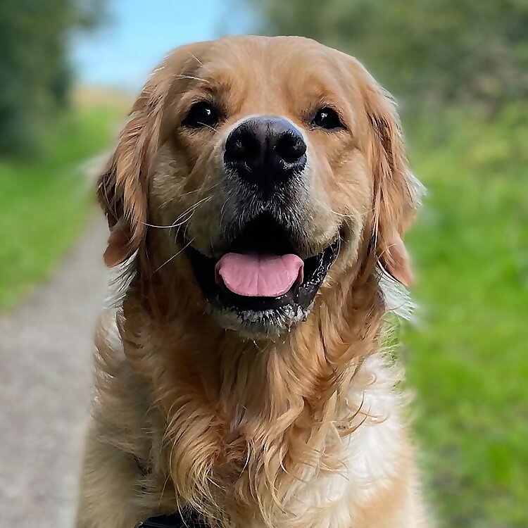 Rory
