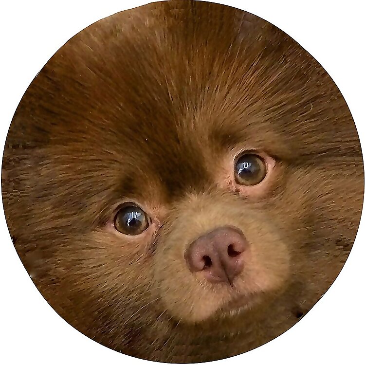 Bertram