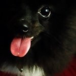 Cloe