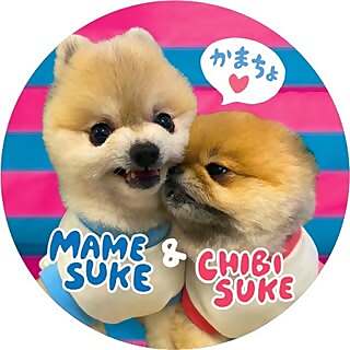 Beansuke & Chibisuke