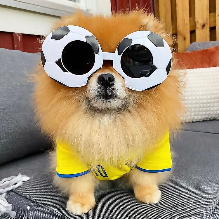 Kapten