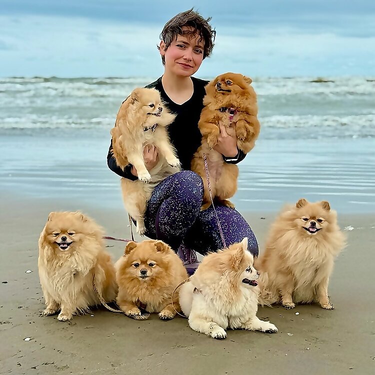 Pomeranian Sisterss