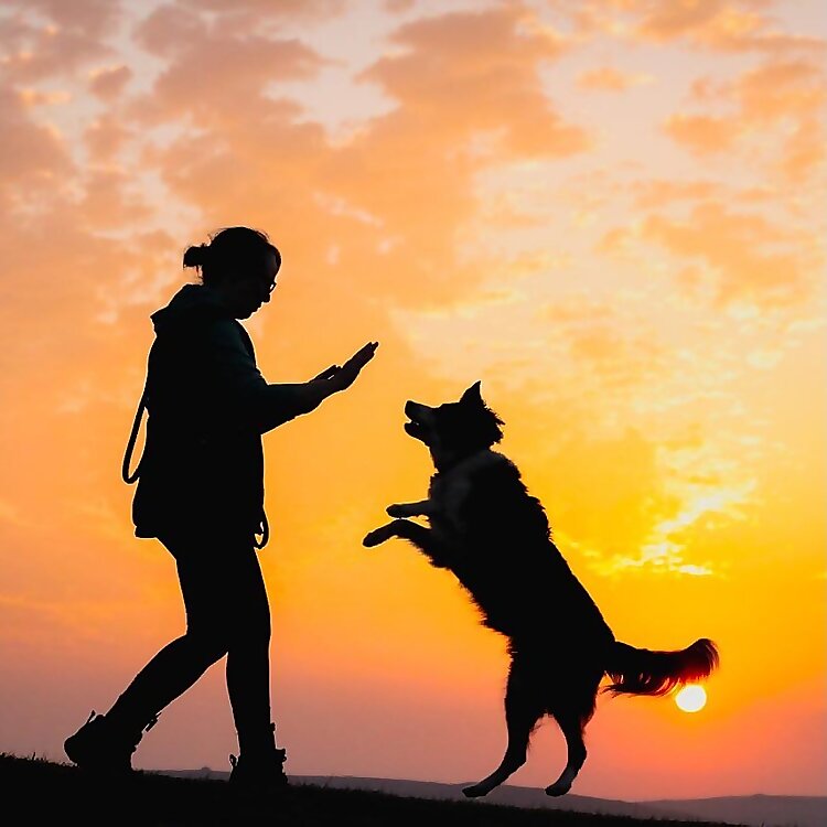Sarah Stremming