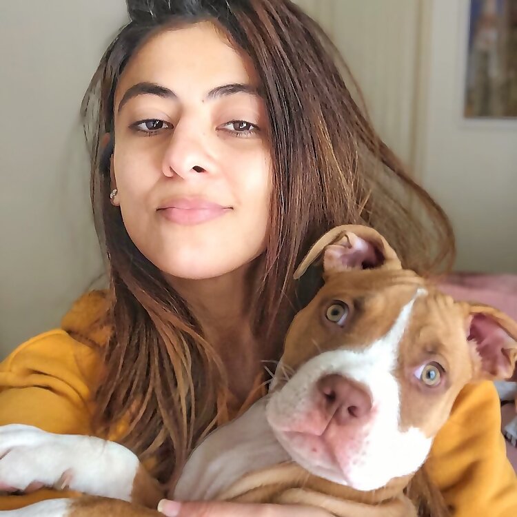 Yamika Damani