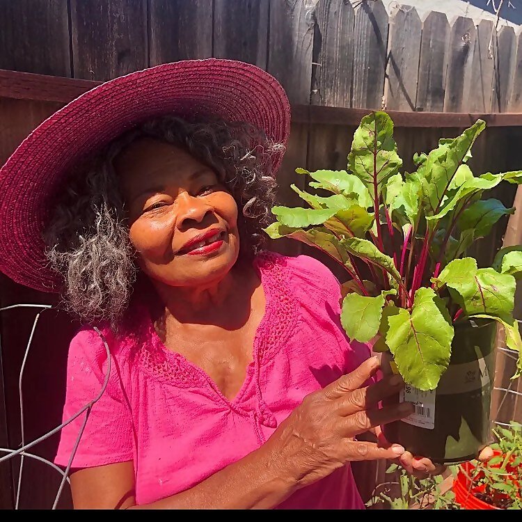 Ms. Grandmas Garden