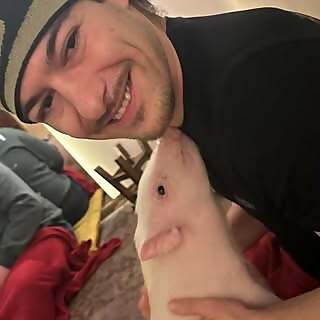ItsBalint