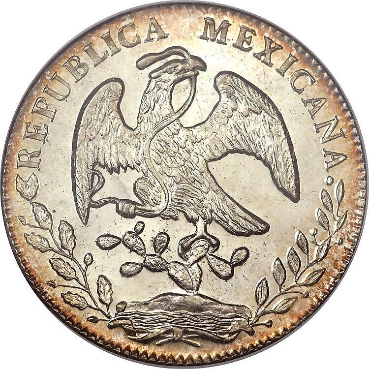 World Coins Cabinet