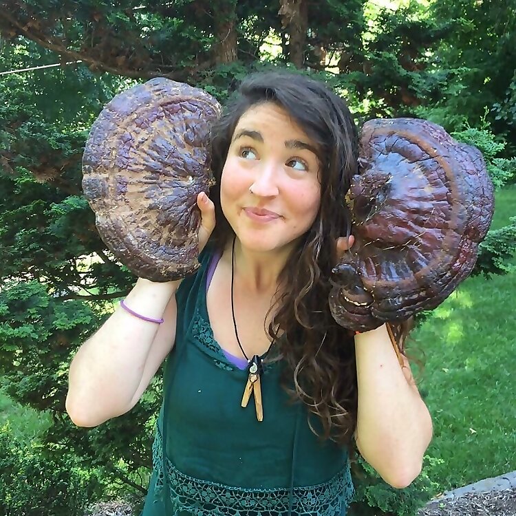 Reishi Strauss