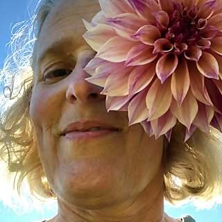Charis Lindrooth