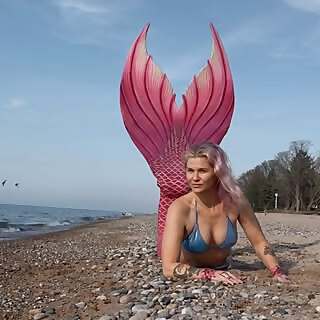 Janka liska