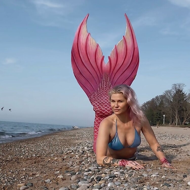 Janka liska