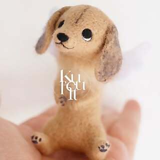 Kuu