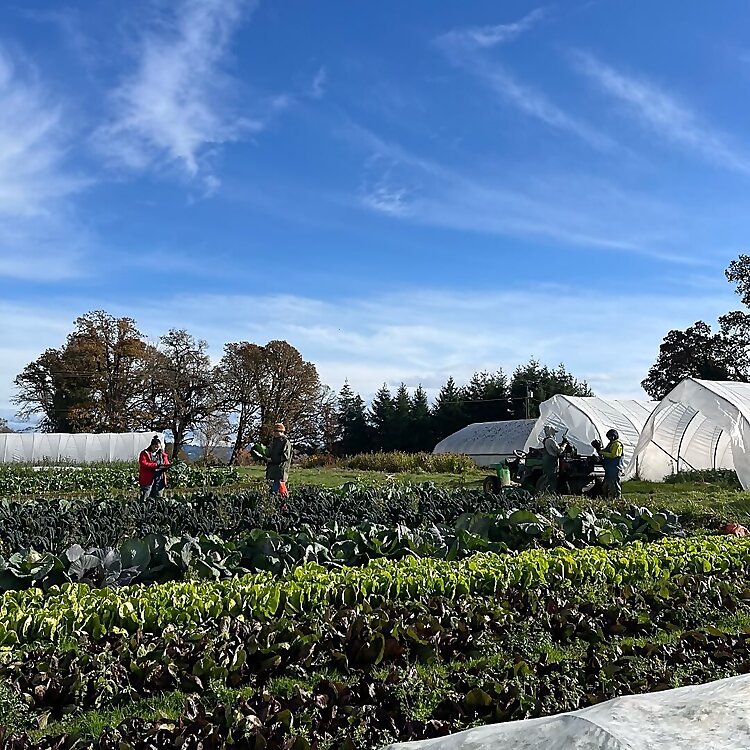 Beth Satterwhite & Erik Grimstad