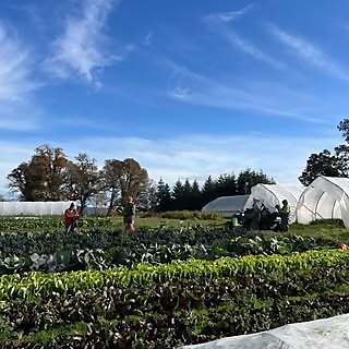 Beth Satterwhite & Erik Grimstad