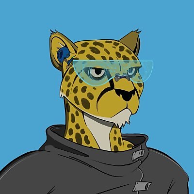 DeFi Cheetah
