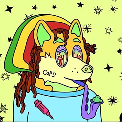 The Defi Addict (Koen)