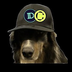 Defi Dog 