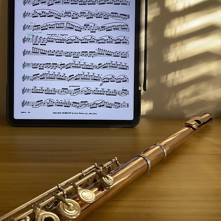 Just An Average Flute Player™