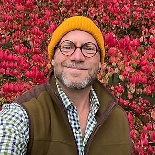 Ben Hamilton Anderson