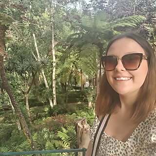 Small Fernery and Tropical Garden UK