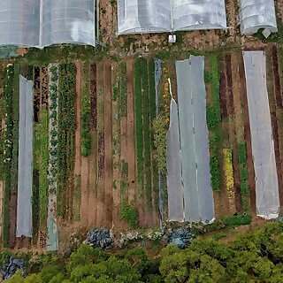 Le Potager des Ducs