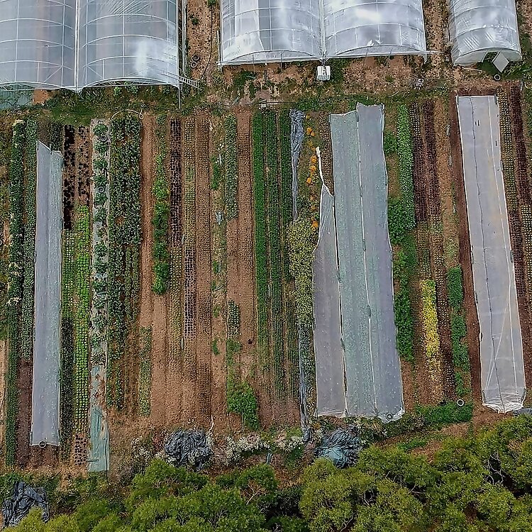 Le Potager des Ducs