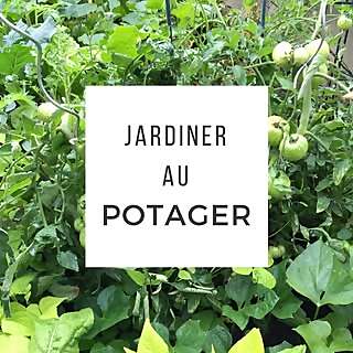 Jardiner Au Potager