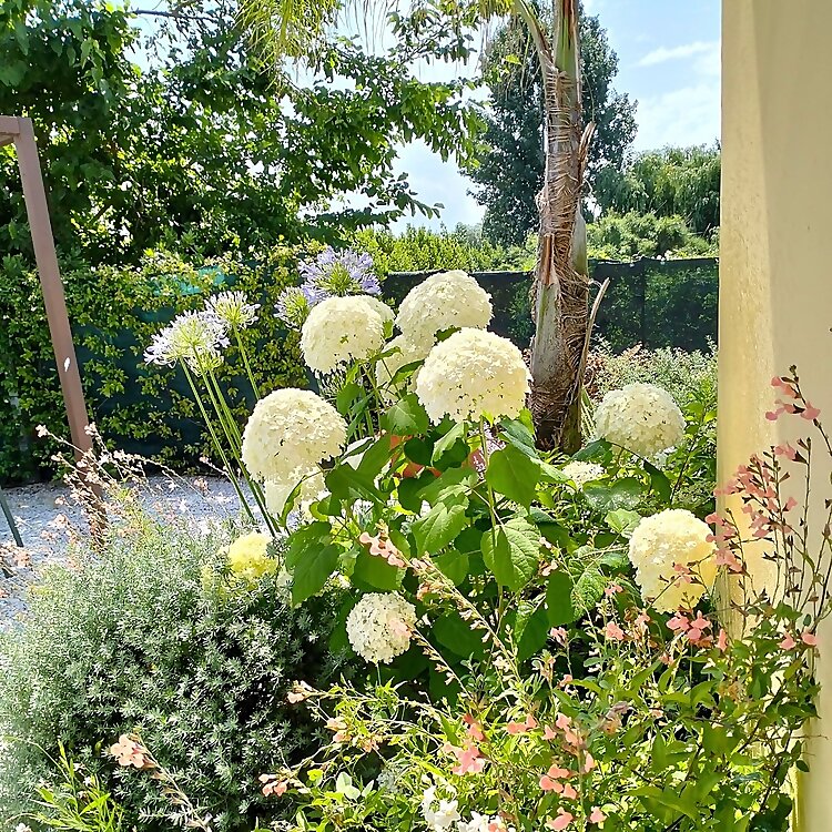 Andrea Arrighi Bertolani