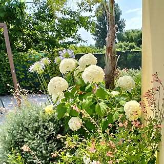 Andrea Arrighi Bertolani