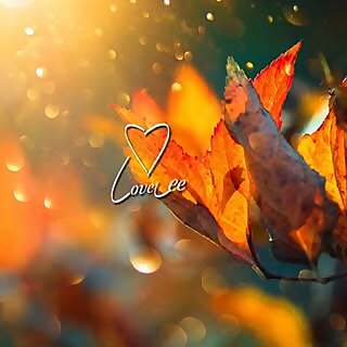 LoveLee Gifting