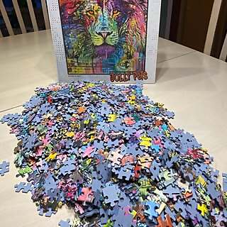 Puzzle Only