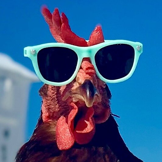 Sammi Chicken
