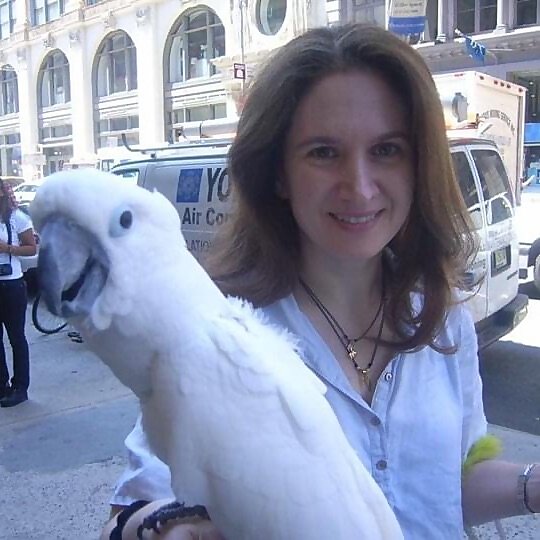 Chris The Cockatoo