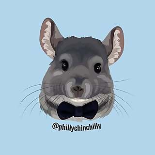 Phil E Chinchilla