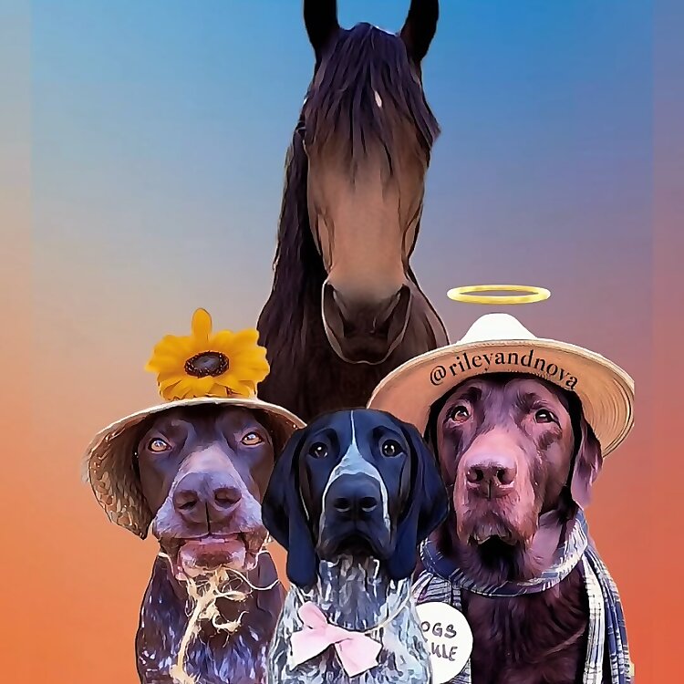 Riley, Nova, Athena