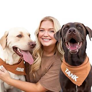 Ally+ Tank & Fisher