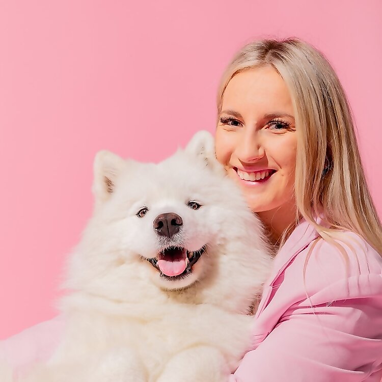 Nube the Samoyed