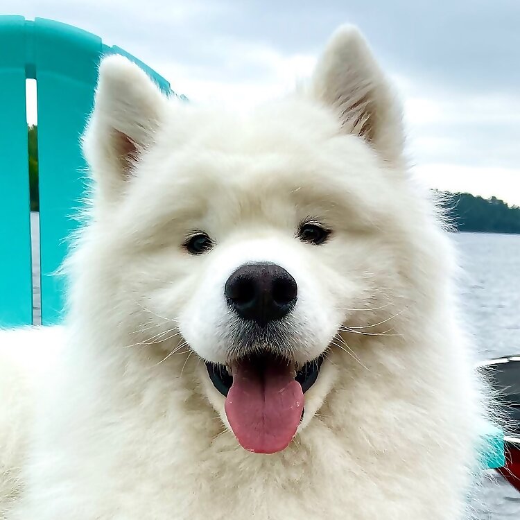 Zuko & Kuma