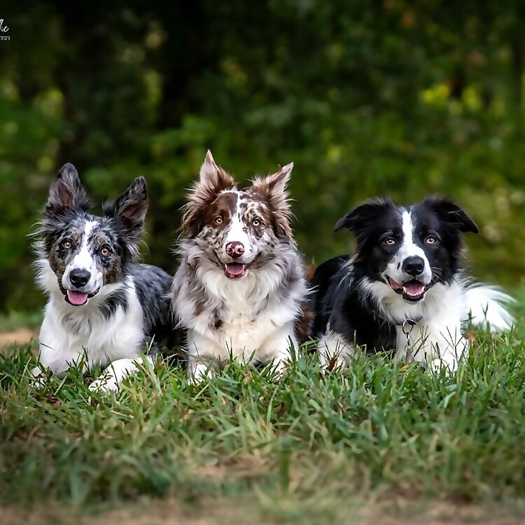 Gwen, Bea, & Nari