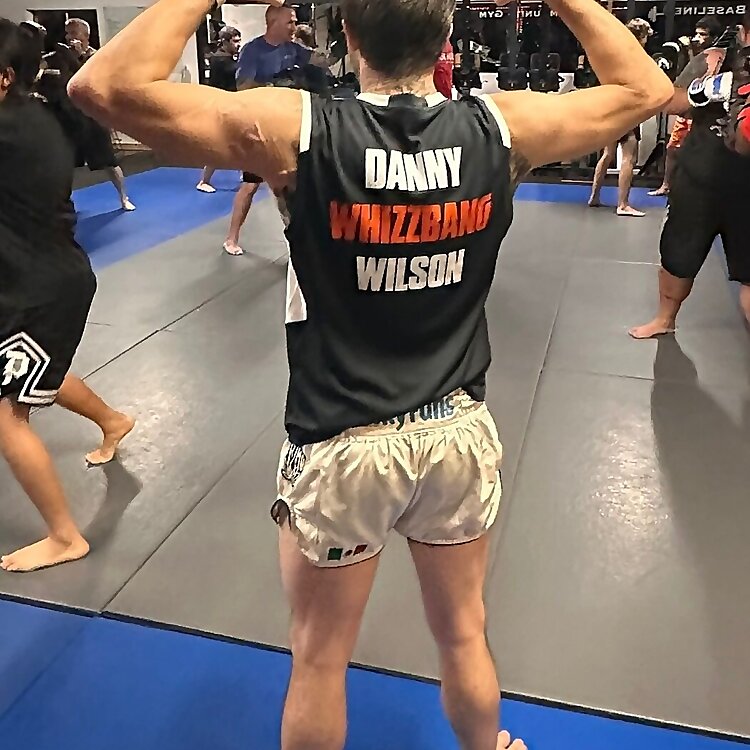 Dan Wilson